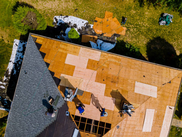 Best Local Roofing Companies  in Walford, IA