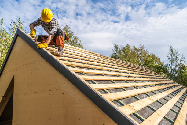 Best Roof Gutter Cleaning  in Walford, IA